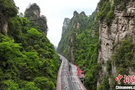 2024张家界武陵源马拉松举行 万名跑友峰林竞速图片