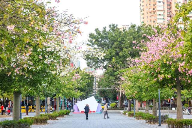 我愿意为了这道色彩，来越秀N次