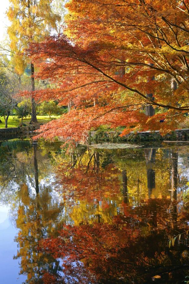 征集！武汉市民文旅大讲堂邀您共赴武汉植物园，开启一场冬日自然之约