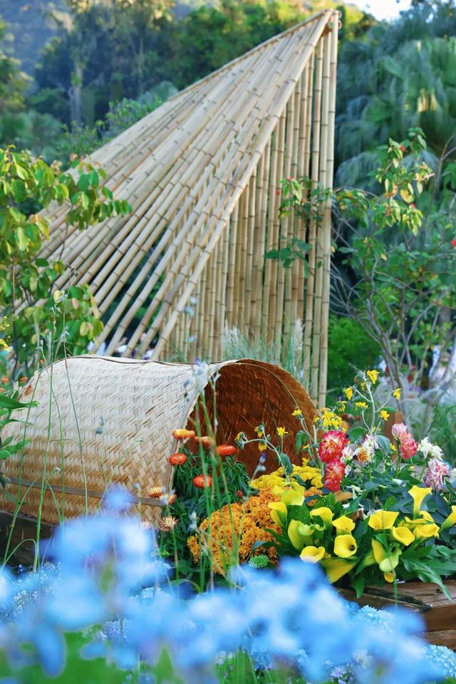 行摄 | 美爆了！秋日花海，限时上映