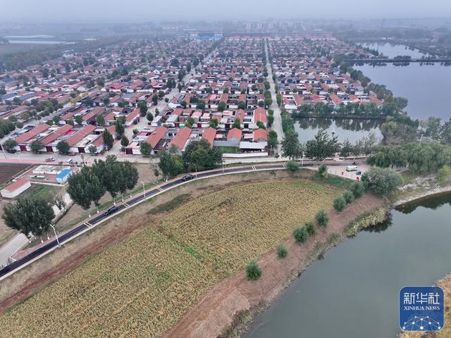 河北沧州：大运河堤顶路铺就美好生活新图景