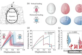 怎样扔鸡蛋更不易碎？180次抛蛋测试告诉你答案图片