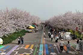 荥阳古柏渡樱花园“樱”你而来 共赴春日浪漫之约图片