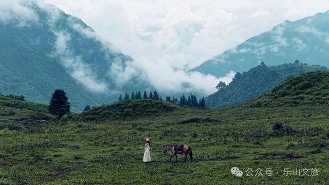 处暑遇“秋老虎”？来乐山踏入26℃的天然空调房！