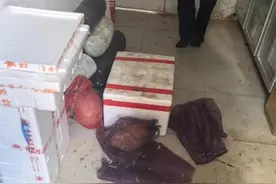 【以案释法】市区活禽存在？正在严密清查图片