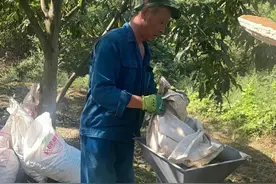 200多斤装满！凌晨5点赶来！杭州不少人请假赶回家：比过年还重要图片