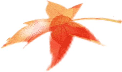 北京的秋已是天花板，分享多个赏秋机位 | 秋日长椅三分钟