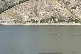 天山天池又现“水怪”？10米长“蛇影”游过水面图片