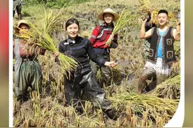 哈尼族媳妇的幸福事儿图片