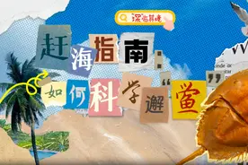 赶海指南：如何科学邂“鲎”？图片