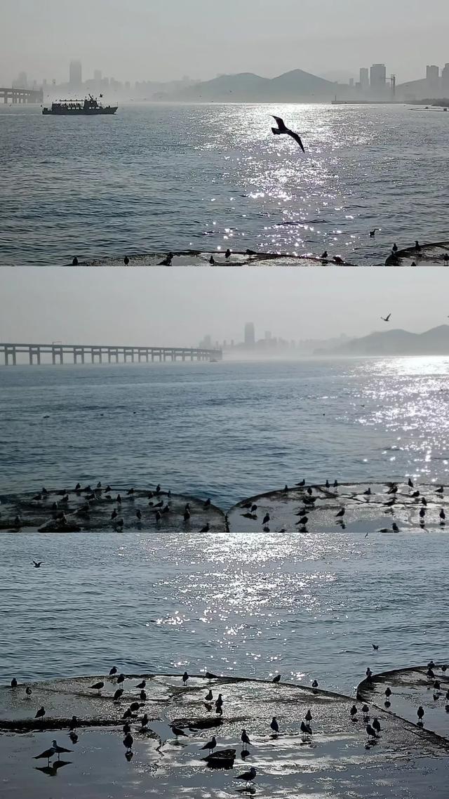 没去北上广的那些人，后来怎么样了