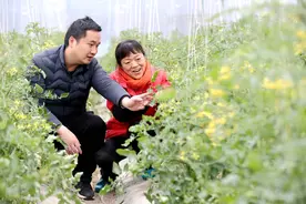 新修订的《浙江省农作物病虫害防治条例》通过：倡导作物健康理念 密织病虫害监测网络图片