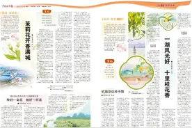 杭州｜一湖风光好 十里桂花香图片