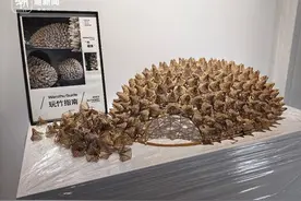 解锁竹艺的N种新玩法，“玩竹博物馆”亮相百丈溪口村图片