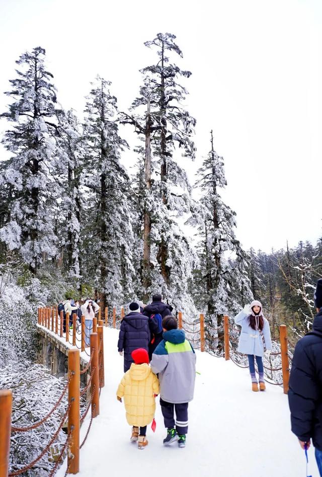 冷空气预警！鹅毛大雪即将突袭瓦屋山！