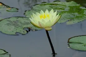 父亲节，带爸爸在浙江来一场轻松而特别的出游图片