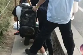 中山陵梧桐大道变“商业影棚”，南京出手整治了！图片