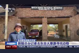 总台记者直击丨东非上演动物大迁徙 百万大军“天国之渡”图片