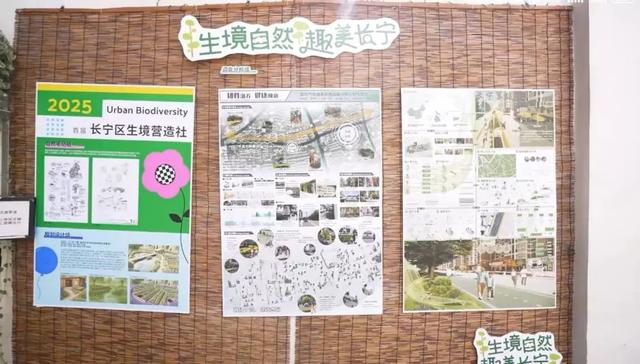 这场“生境walk”直播，带你发现不一样的愚园路→