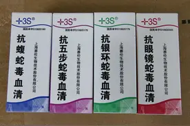七横八吊九缠树｜@连州街坊：这份防蛇指南请收好图片