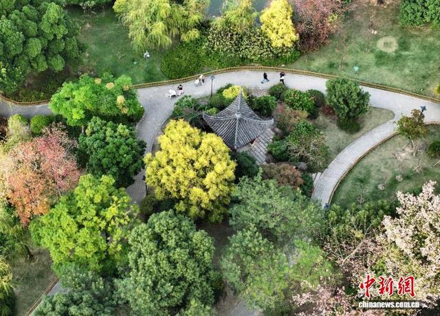 福州：色彩斑斓 冬景如画