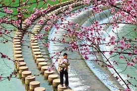 春来湘西， 拈朵微笑的花图片