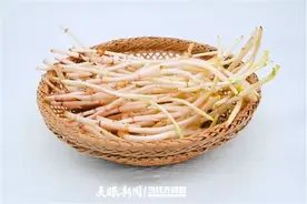 【食在遵义】药食同源——折耳根图片