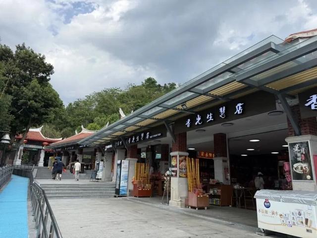 双节畅游清水岩，打卡国家级古树名木！