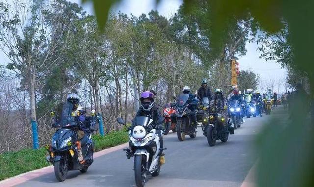 湖北枣阳：桃红映日春潮涌浪漫满城待君来