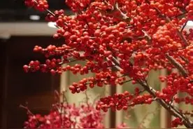 春节将至，习俗先知——春节的习俗 @家长请讲给孩子图片