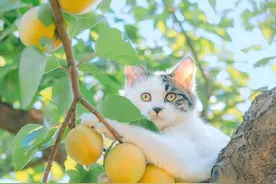 有一种惦记，叫深秋珍重图片