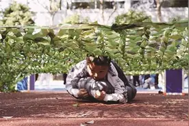 “橄榄绿”进校园，兵哥哥陪我一起上学图片