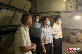 湖南省委党史研究院赴驻点帮扶村调研乡村振兴工作图片