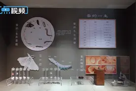 工业新游记｜探秘桑蚕世界，触摸最柔软的江南图片