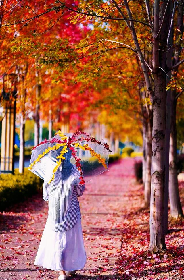 丹阳这里超出片，快来打卡~