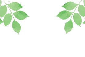 夏日“沪”水游丨金山：夏日金水湖，漫步赏绿好时光图片