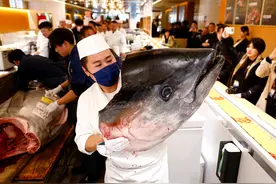 （外代一线）日本蓝鳍金枪鱼拍出史上第二高价图片