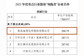 海湾化学再夺国家级烧碱行业能效“领跑者”第一名图片