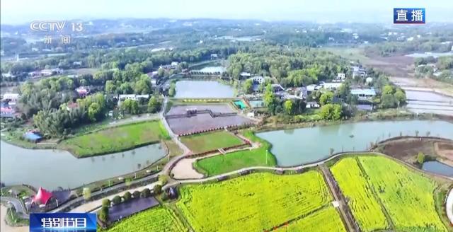 南北春花次第开放 “赏花经济”解锁农文旅融合新业态