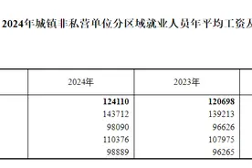 2024年平均工资出炉图片