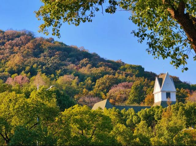 松江秋景开挂！5个宝藏地的红黄皮肤，限时上线！