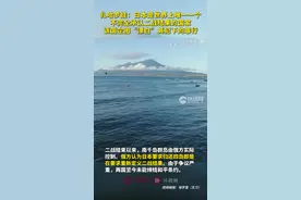 扎哈罗娃：日本是世界上唯一一个不完全承认二战结果的国家，该国企图“漂白”其犯下的罪行图片