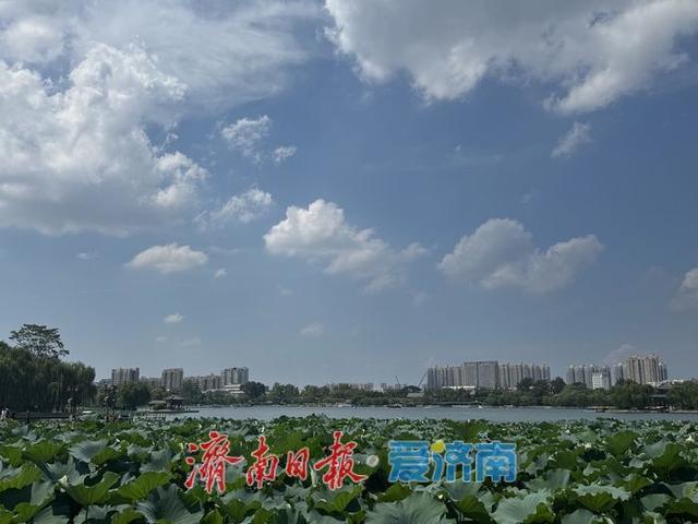 一年四季 泉在济南丨初秋大明湖：蓝天白云相映 画卷徐徐展开