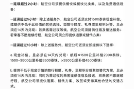 新规来了！航班延误可获千元赔偿！还有这些权益→图片