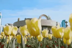 上海博物馆预约规则有变化，快看→图片