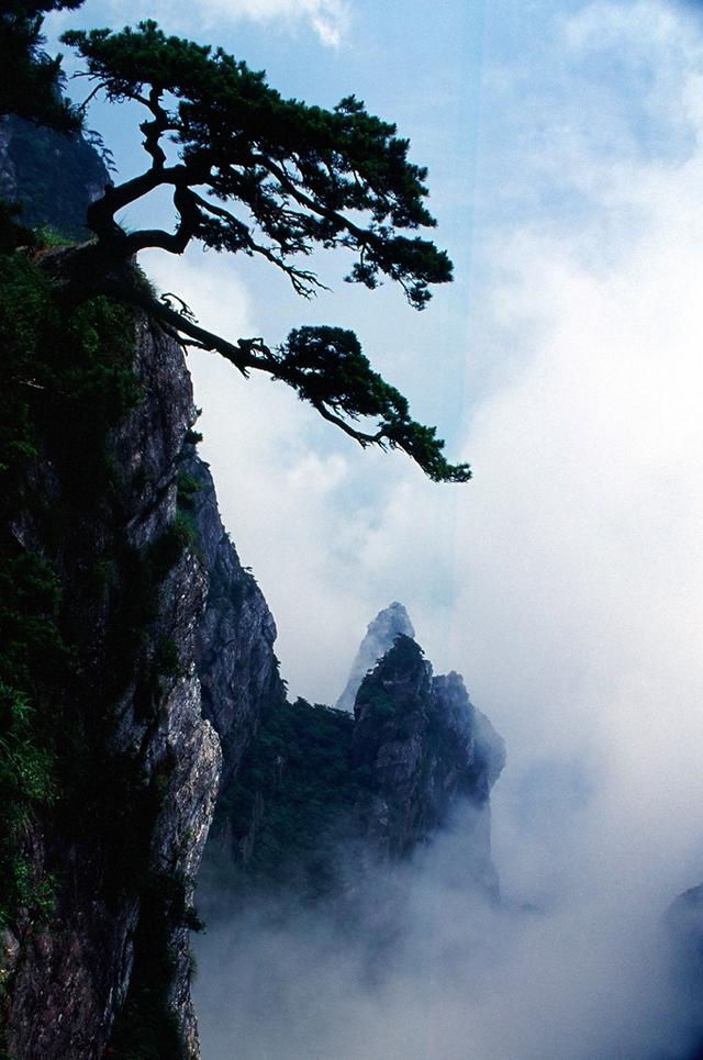 一花一瀑一云烟，庐山春意正当时