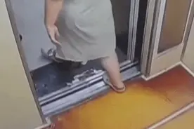 妻子刚出电梯就被剧毒“烙铁头蛇”咬伤：黑血往外冒！丈夫教科书式急救保命图片