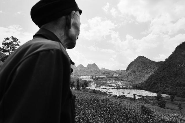 边境上的那一片玉米地