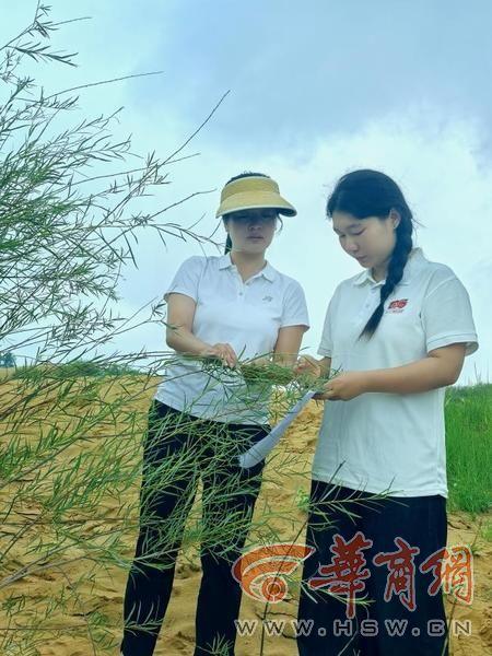 榆林学院管理学院暑期实践队深入横山普查文旅资源 探寻塞上风情魅力