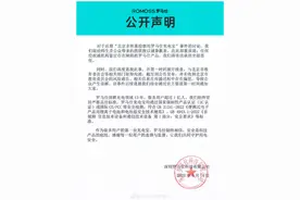 极端场景下或有燃烧风险！罗马仕召回49万台充电宝，快看看你有没有图片